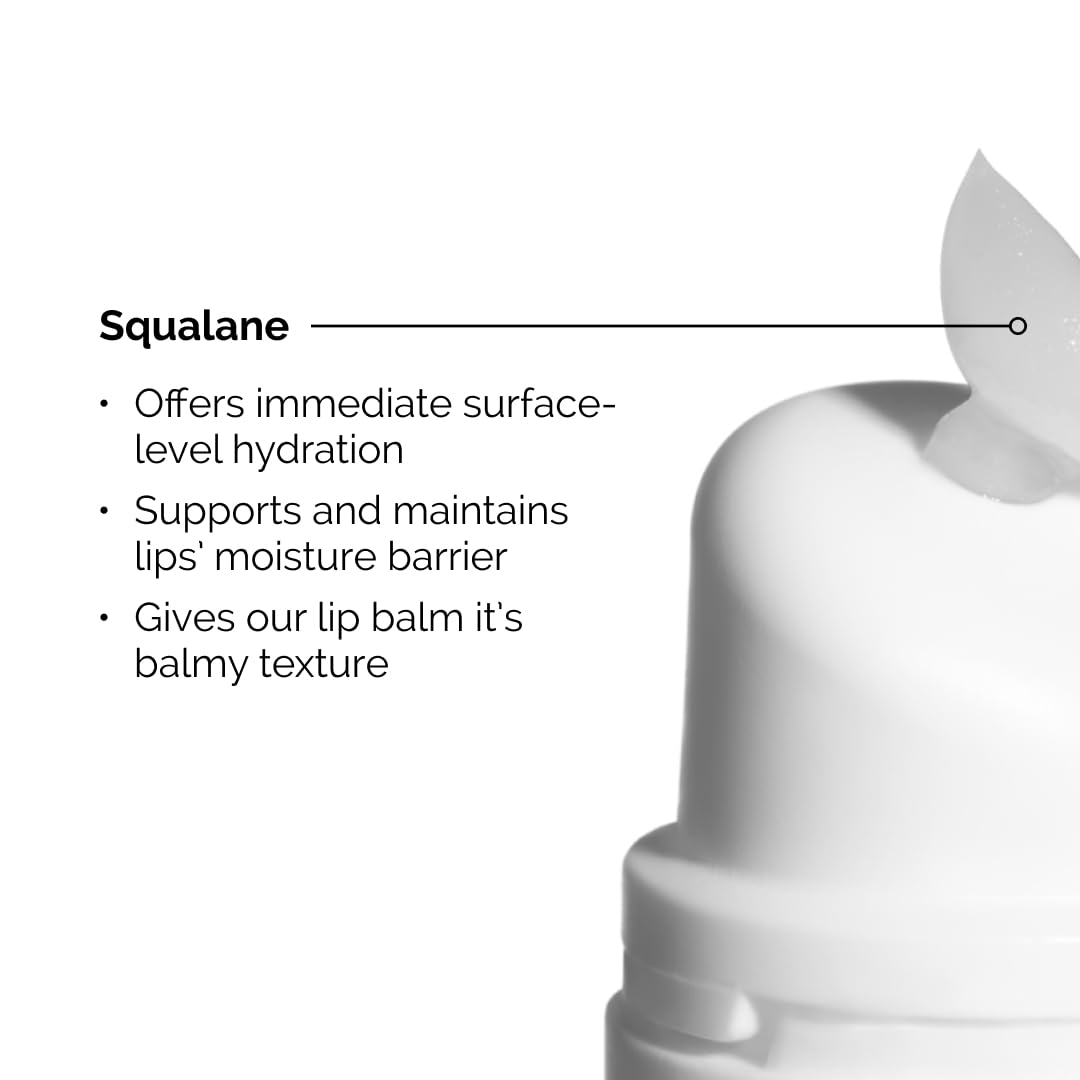 The Ordinary Smooth & Hydrate Lip Duo