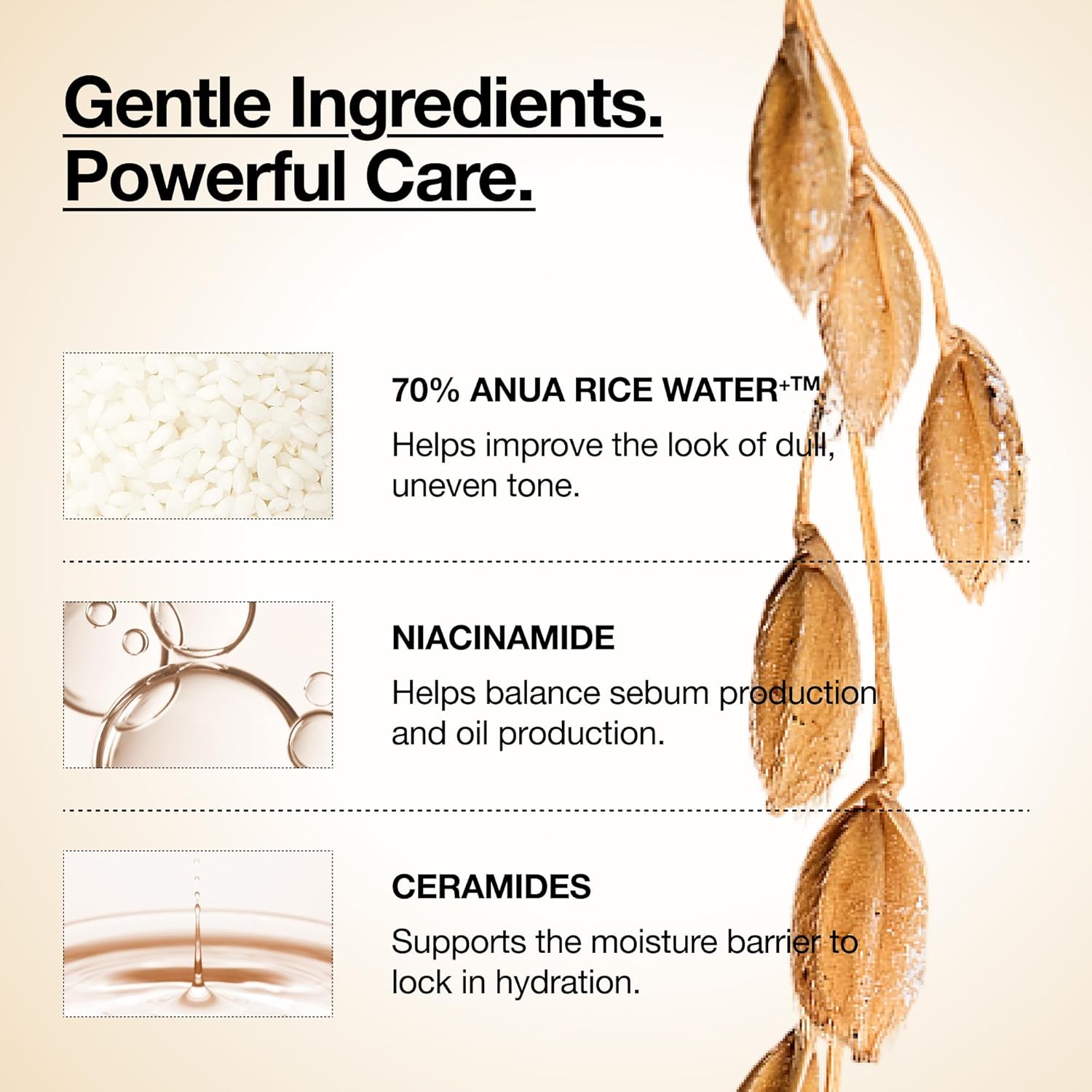 Anua Rice 70+Ceramide Glow Milky Toner