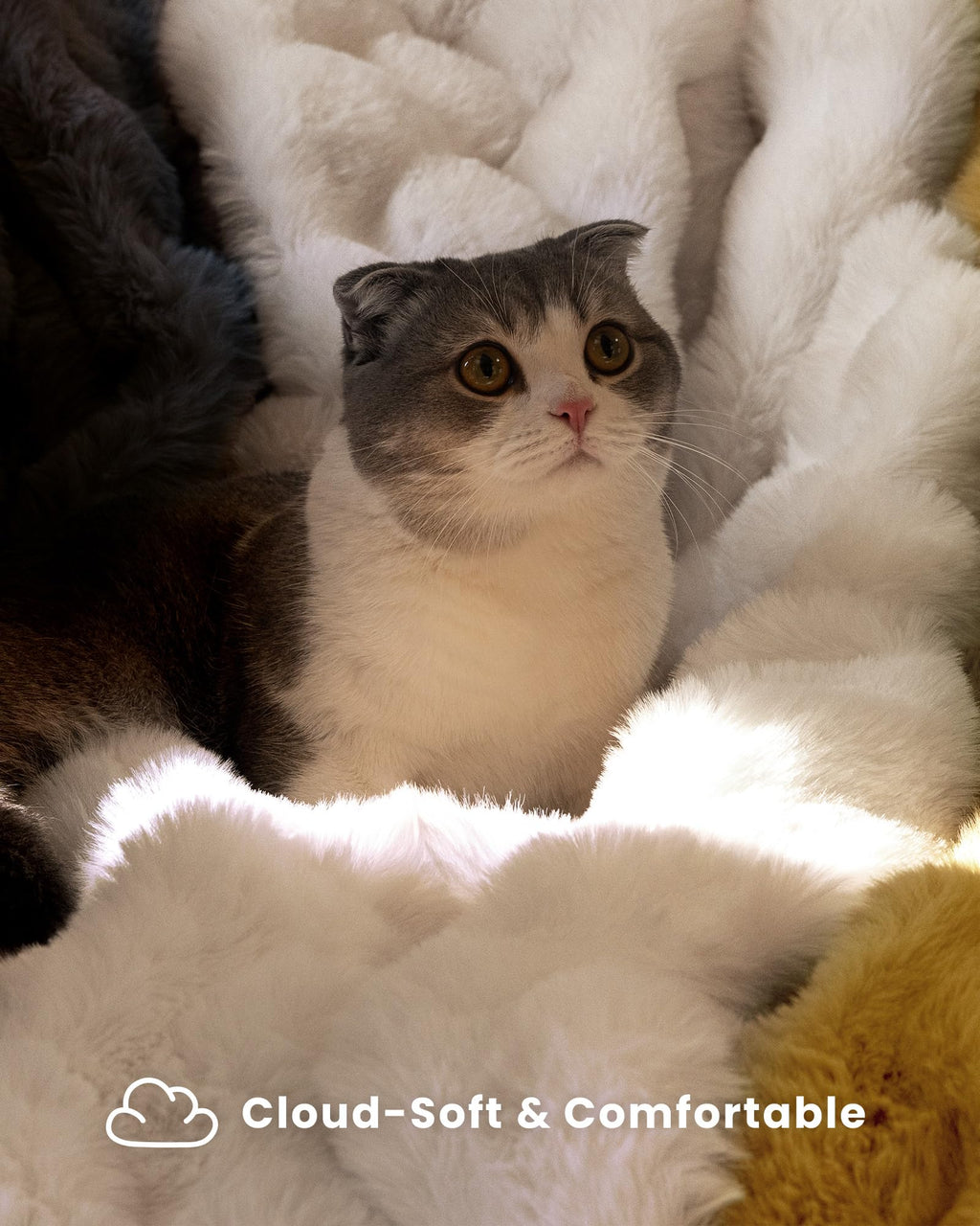 Ultra Soft Cozy 50x60 Faux Fur Throw